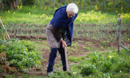 Leia mais sobre o artigo Jardinagem para Idosos: Envelhecendo com Graça
