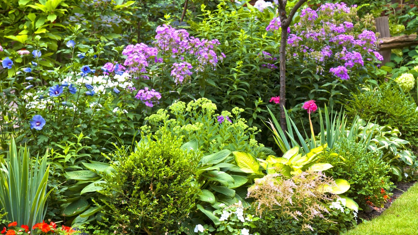 Você está visualizando atualmente Como e Por Que Adubar Seu Jardim de Flores