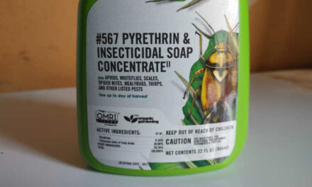 Leia mais sobre o artigo Spray de Piretrina: Um Pesticida Orgânico com História