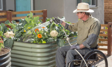 Leia mais sobre o artigo Dicas de Jardinagem em Cadeira de Rodas: Trabalhando Sentado