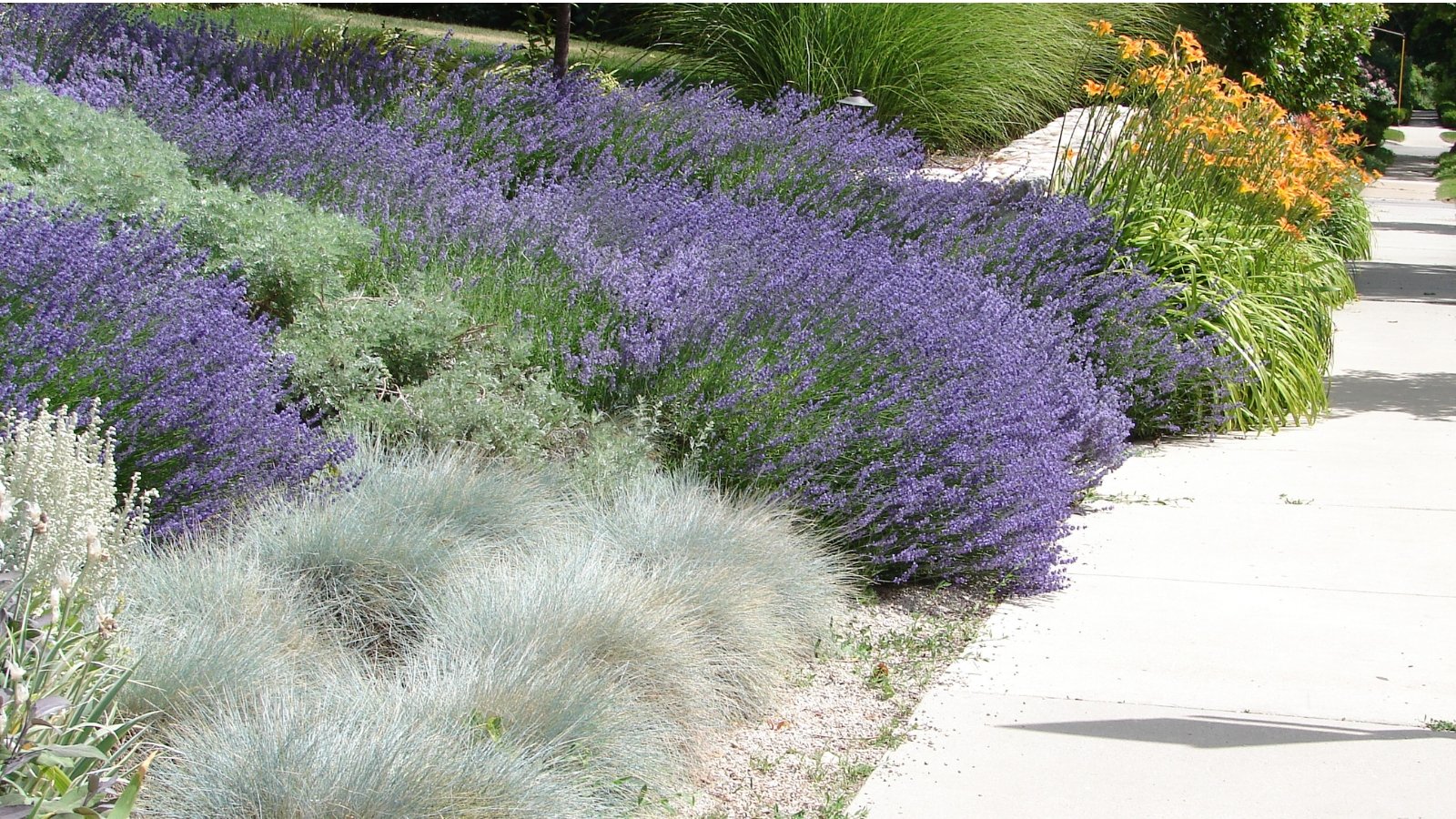 Você está visualizando atualmente 6 Opções de Cobertura Morta para Jardins Xeriscape