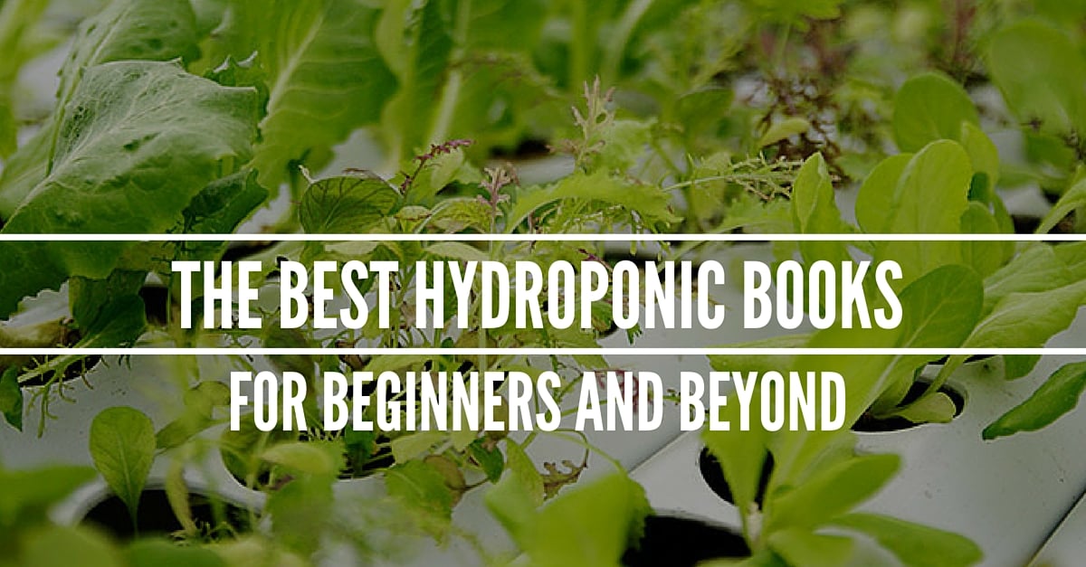 Você está visualizando atualmente 8 Melhores Livros sobre Aquaponia para Começar a Cultivar