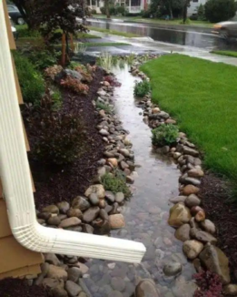 Leia mais sobre o artigo O Que é Rainscaping? A Nova Tendência de Jardinagem da Qual Você Pode Estar Participando Sem Saber