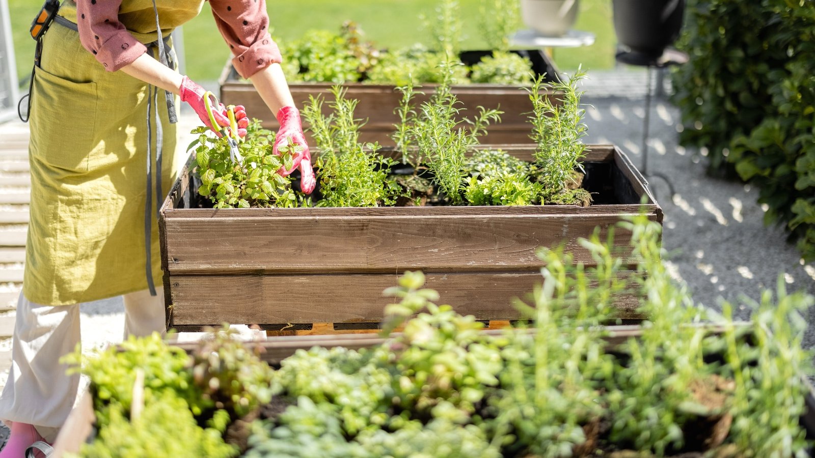 Você está visualizando atualmente 15 Benefícios da Jardinagem em Canteiros Elevados