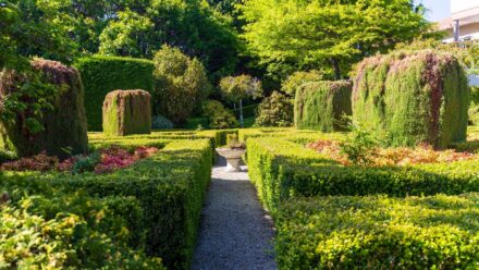 Leia mais sobre o artigo 25 Ideias de Design de Jardim Elegante Para Jardins Formais