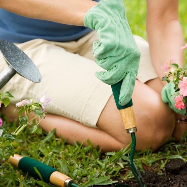 7 Hábitos Comuns de Jardinagem Que Você Deve Deixar Para Trás