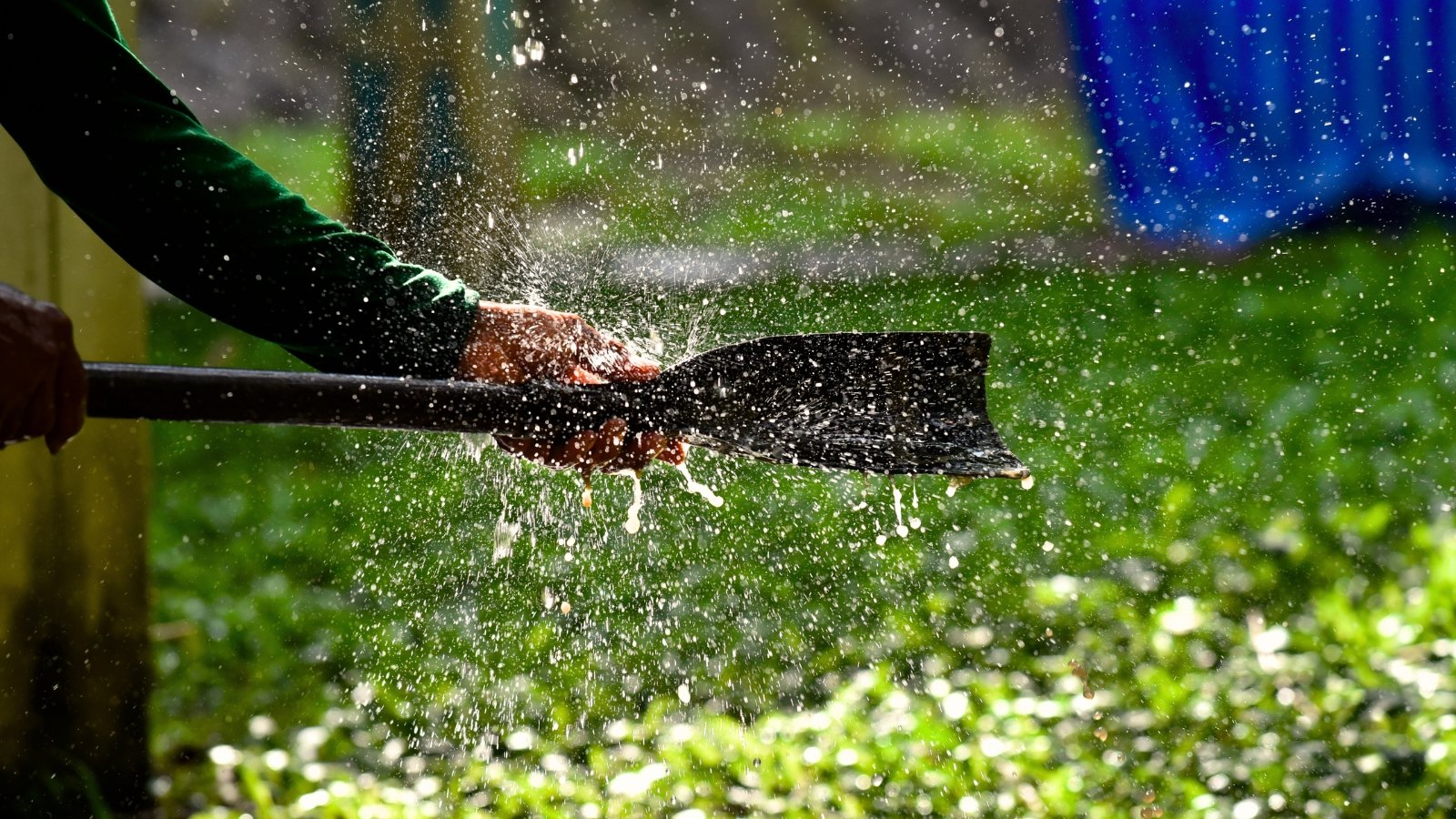 Você está visualizando atualmente Um Guia para Iniciantes sobre Limpeza e Desinfecção das Suas Ferramentas de Jardim