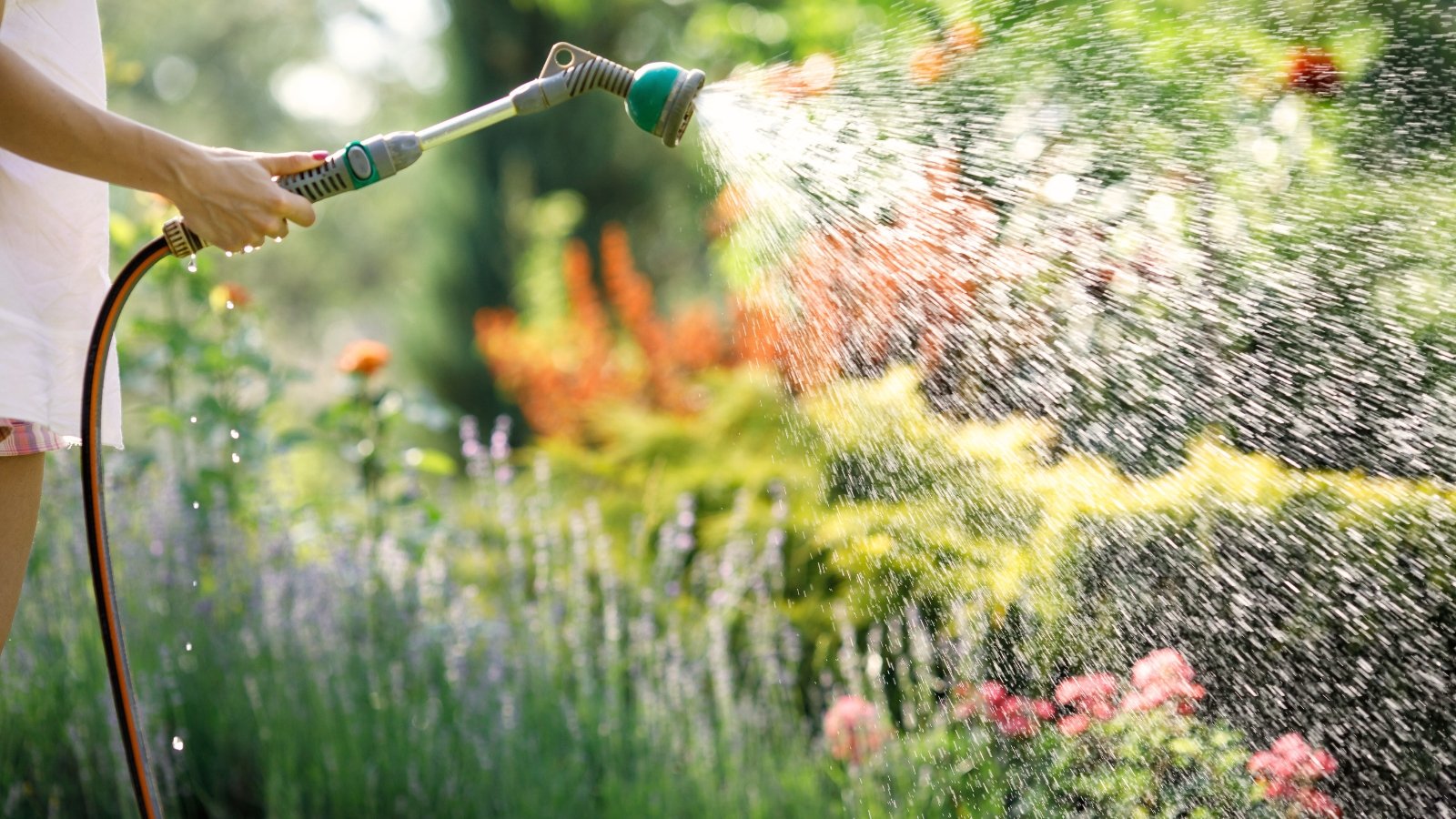 Você está visualizando atualmente Não Cometa Esses 7 Erros ao Regar Seu Jardim