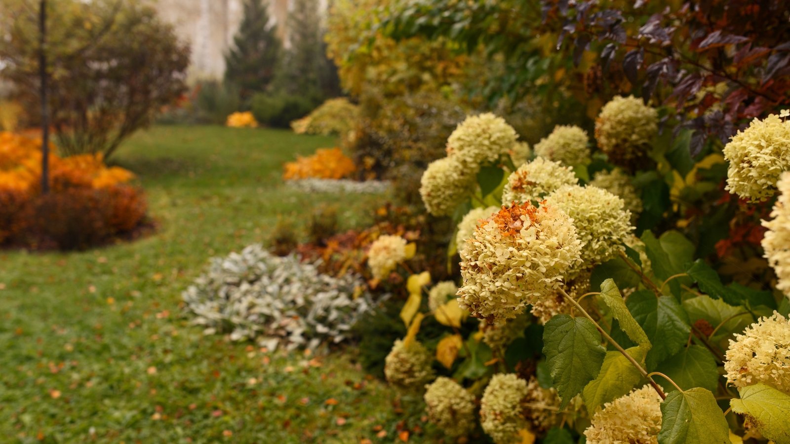 Você está visualizando atualmente 13 Hábitos de Jardinagem Amigáveis à Vida Selvagem para Implementar Neste Outono