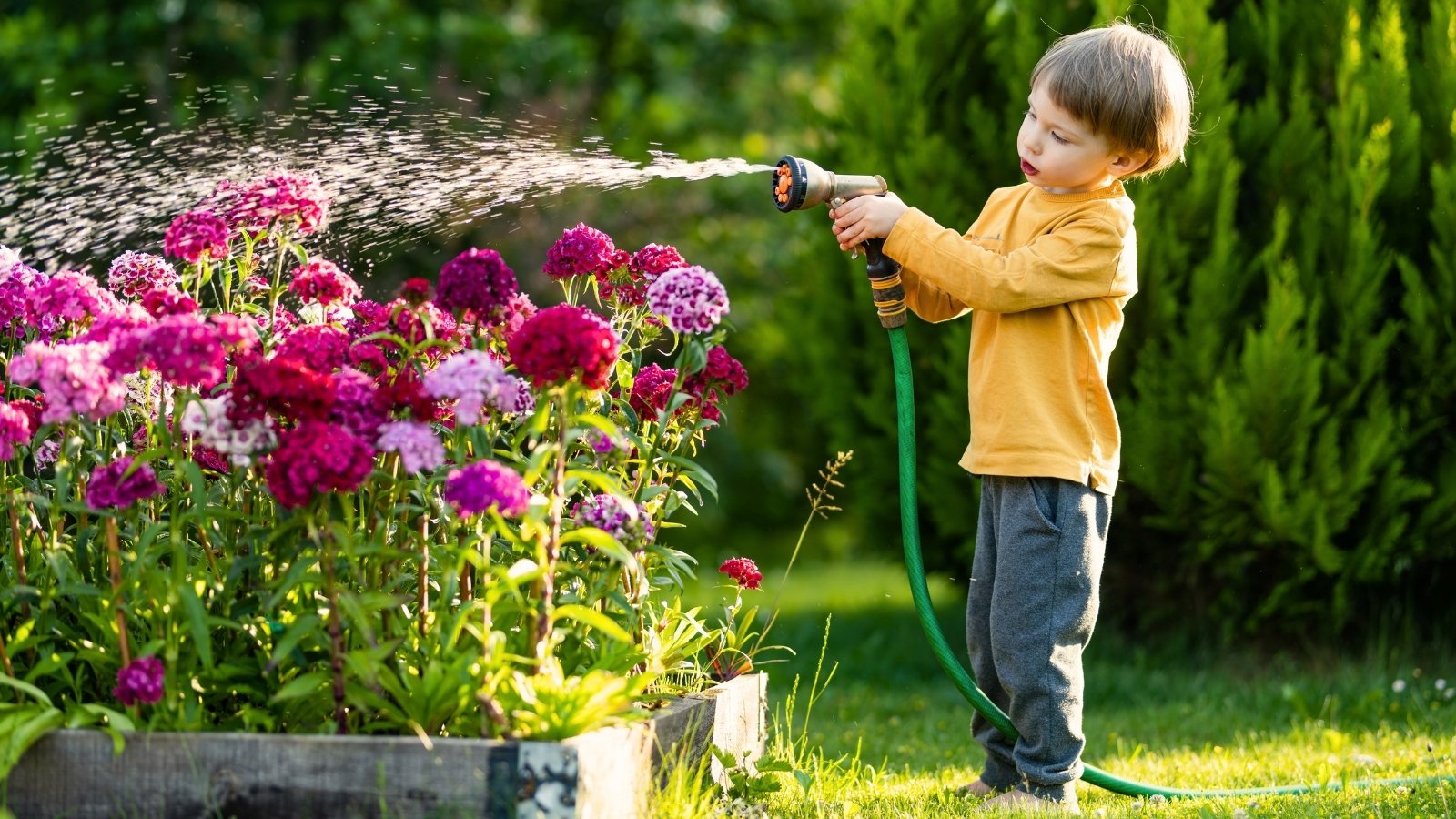 Você está visualizando atualmente Plantando um Jardim para Polinizadores com Crianças: 5 Dicas Essenciais