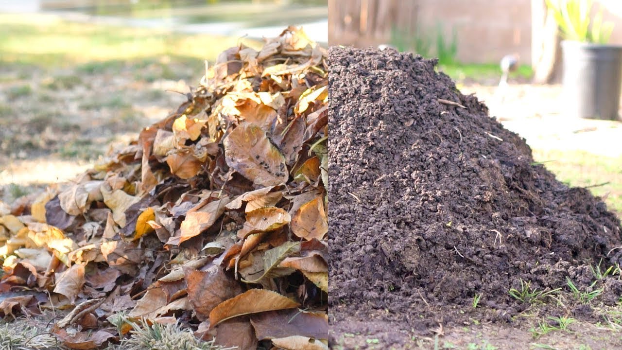 Você está visualizando atualmente Aproveite ao Máximo a Abundância da Natureza