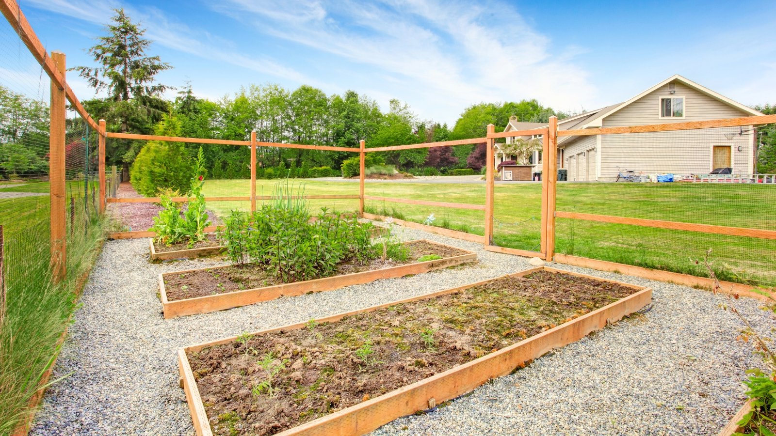 No momento, você está visualizando 9 Soluções de Jardim à Prova de Veados para Fazer Você Mesmo em Fevereiro