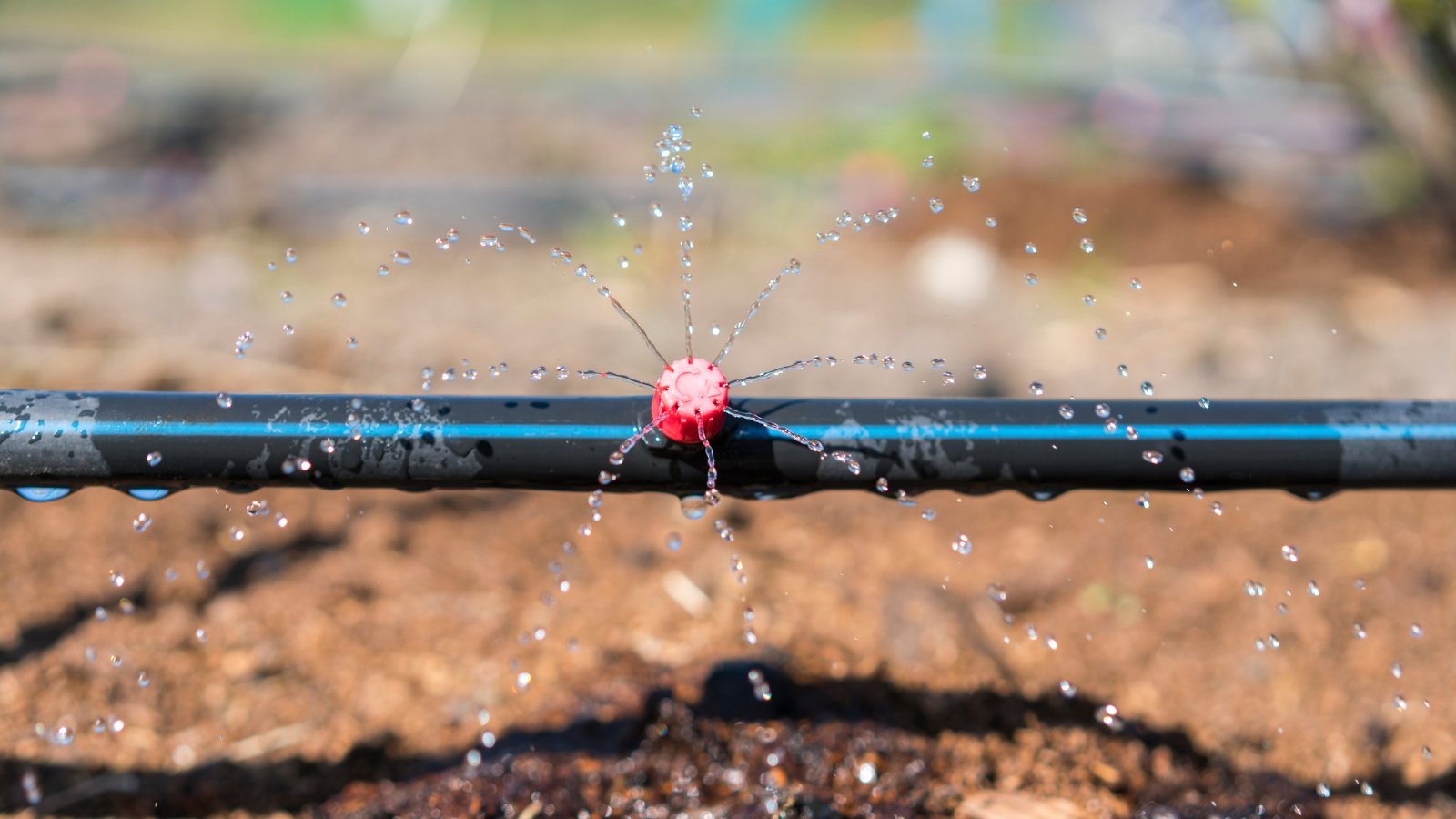 No momento, você está visualizando 7 Verificações Essenciais para Realizar no seu Sistema de Irrigação por Gotejamento na Primavera.