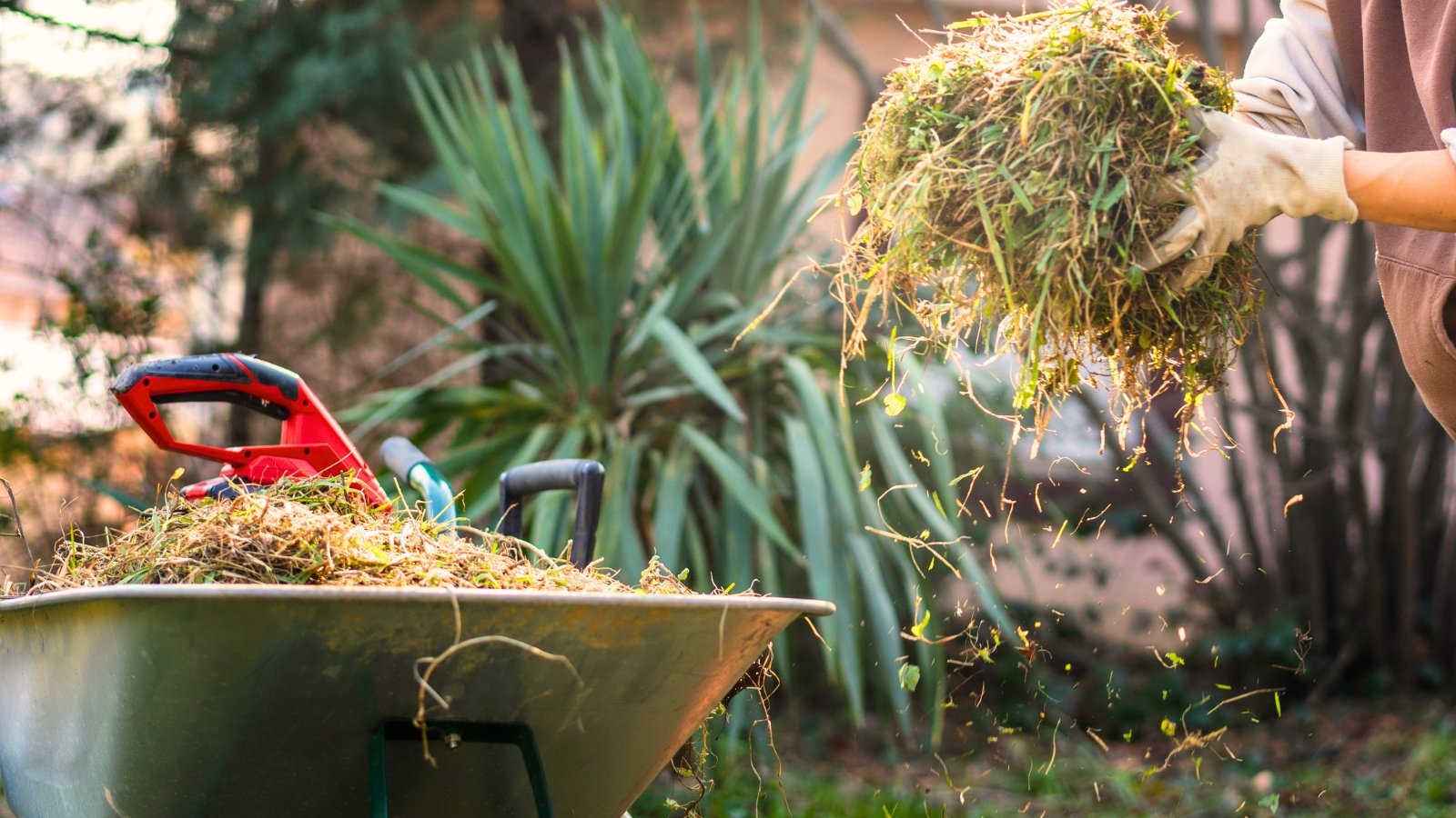 No momento, você está visualizando Realize essas 13 tarefas de jardinagem em março para impulsionar a produção do seu jardim