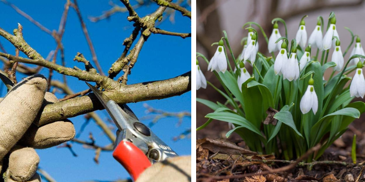 No momento, você está visualizando 10 Coisas Que Você Deve Fazer Agora no Seu Jardim para um Verão Florescente