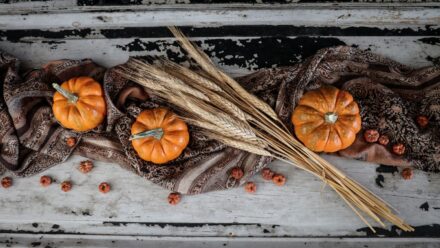 pumpkin
