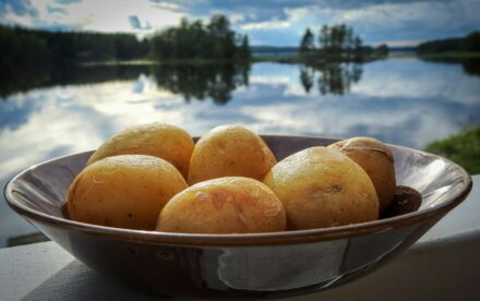 potato