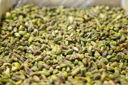 pistachio