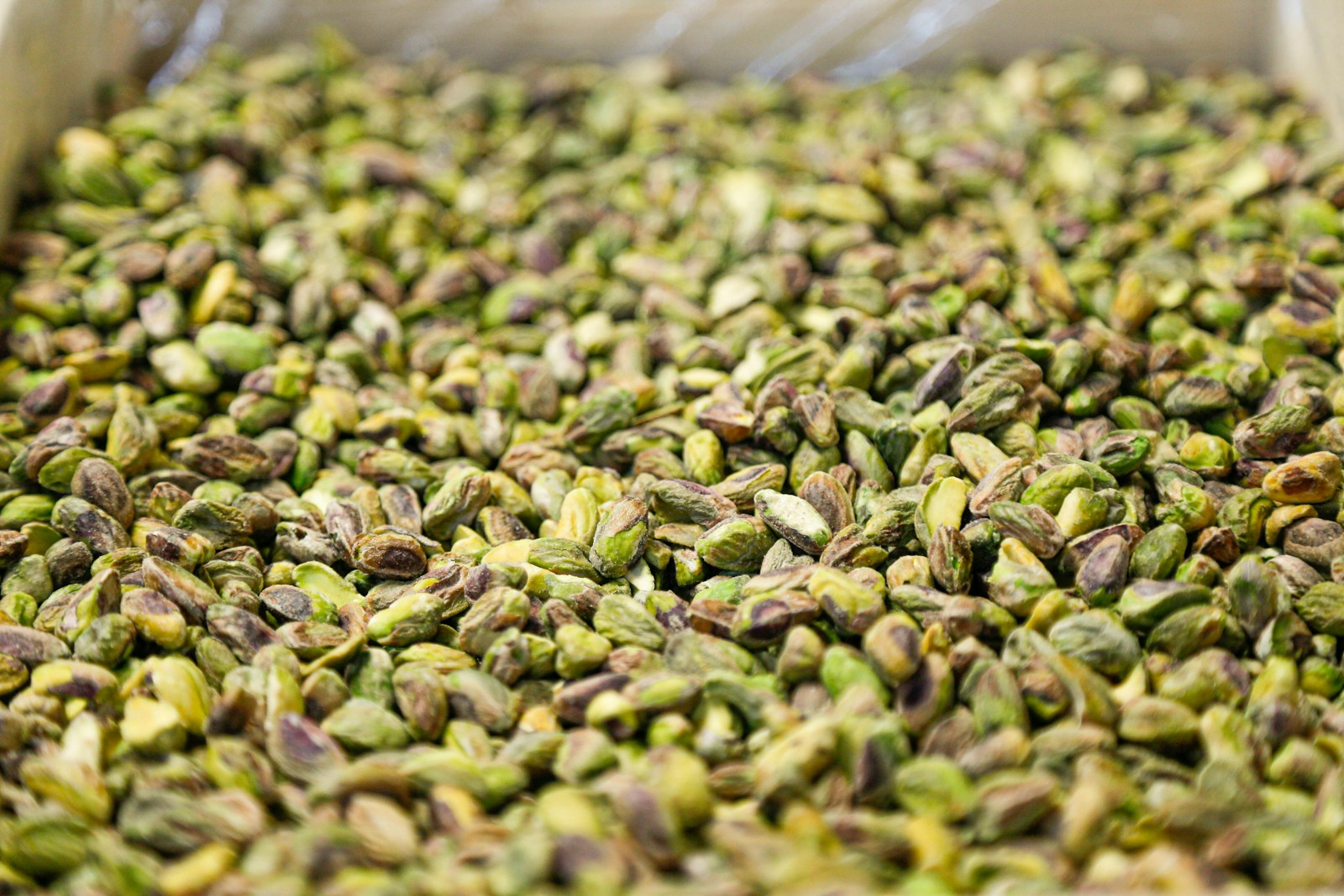 pistachio