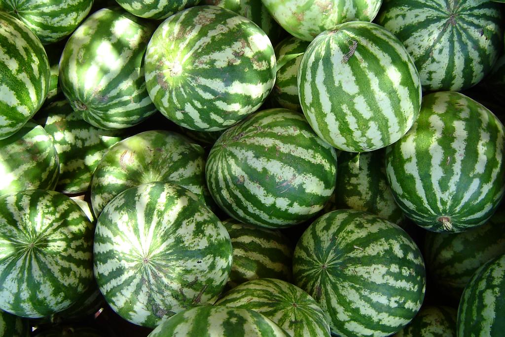 Watermelons