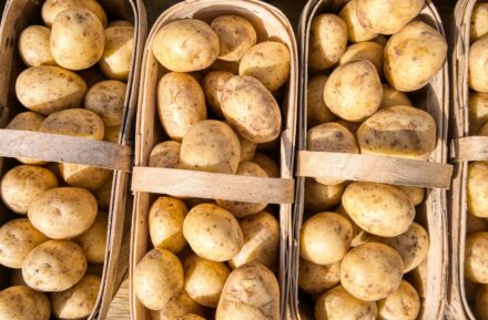 yellow potato