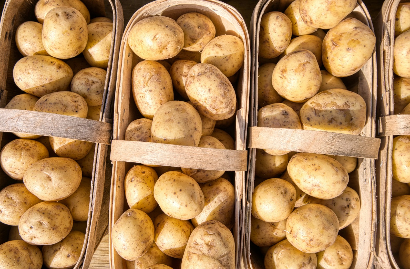 yellow potato