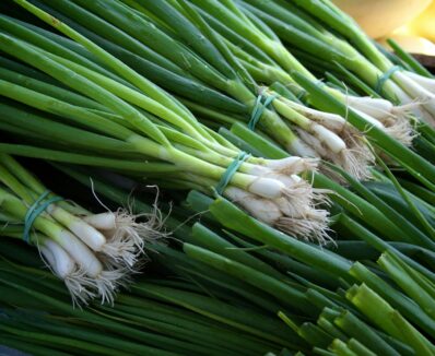 scallion