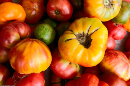 heirloom tomato