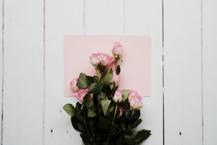 Roses Bourbon 
