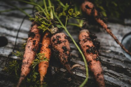 carrott