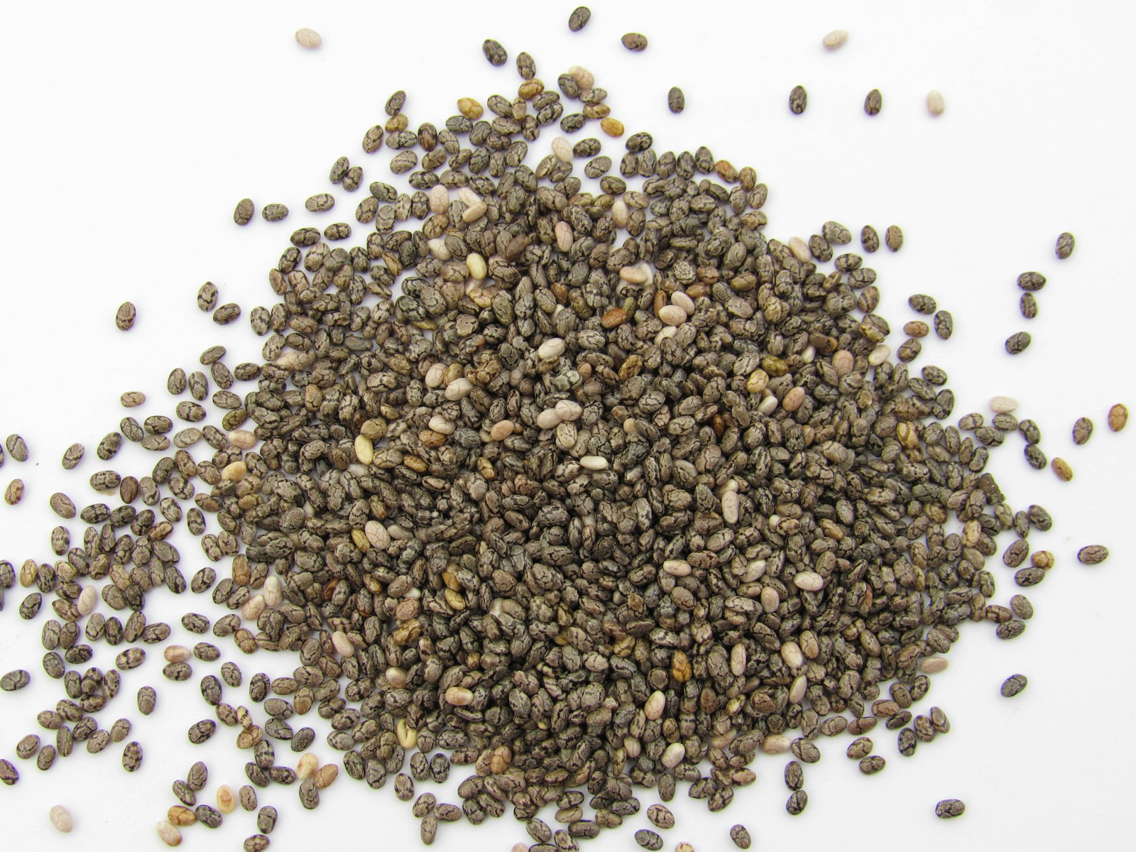 chia seed