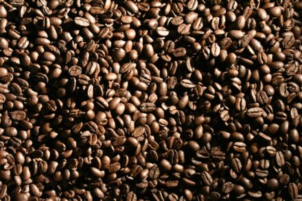 Arabica Coffee
