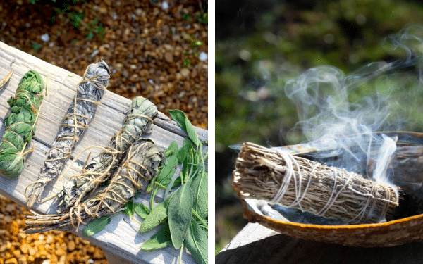 Por Que Jardineiros Penduram Ramos de Sálvia Perto de Seus Canteiros (O Significado É Antigo)