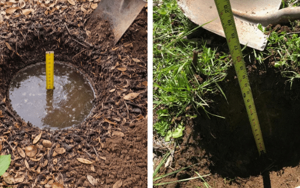 Sempre Verifique a Drenagem do Buraco de Plantio