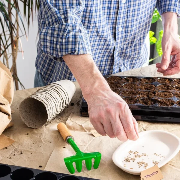 Iniciando Sementes em Climas Frios: Dicas para Zonas 2-4