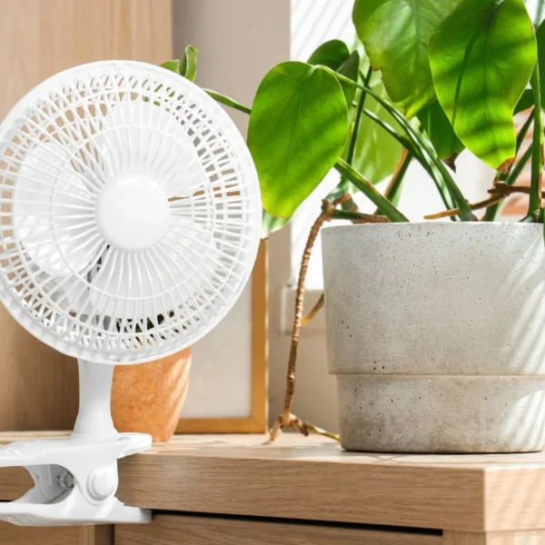 Como Usar um Ventilador para Fortalecer Mudas