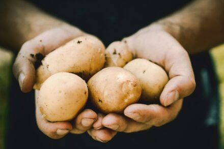 Por Que Usar Água de Batata no Jardim?