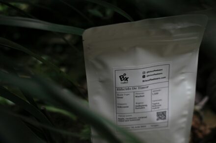 Melhores Receitas Caseiras de Herbicidas com Vinagre