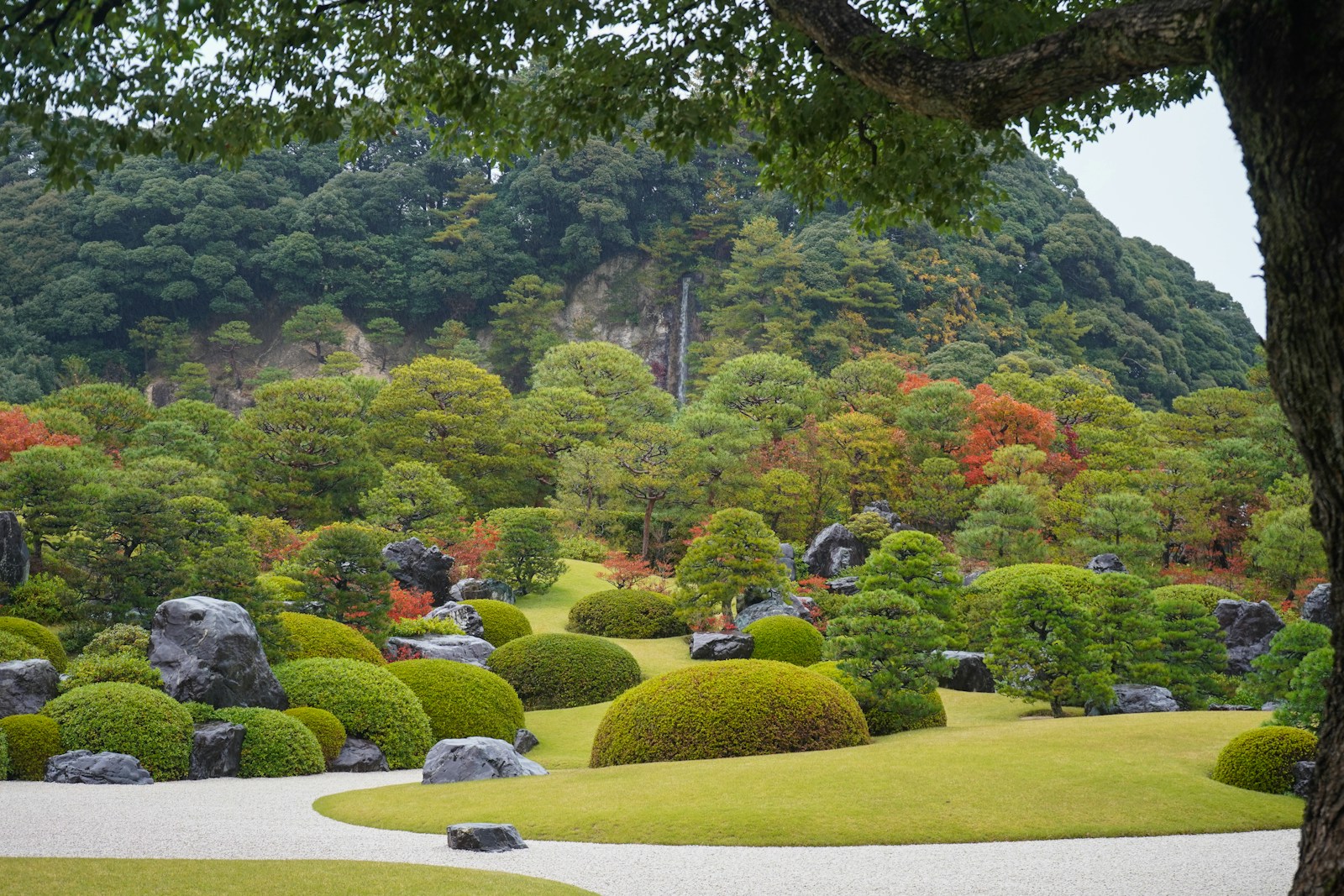 Na Serena Vida das Florestas, Parques e Paisagens