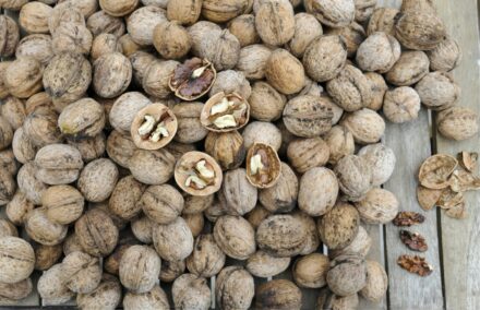 A pile of nuts sitting on top of a wooden table