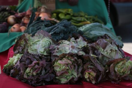 Fresh lettuce and vegetables displayed at a market.