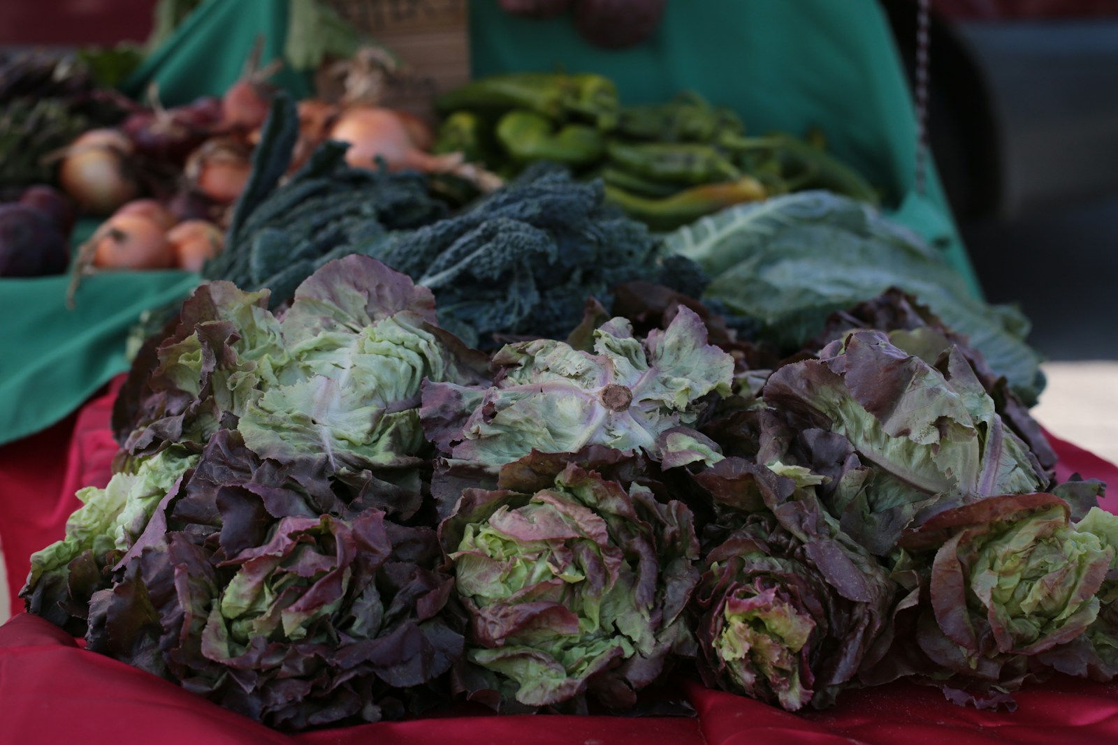 Fresh lettuce and vegetables displayed at a market.