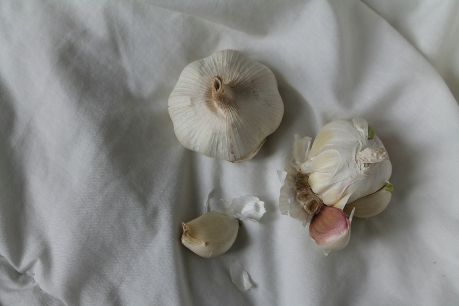 a group of white flowers